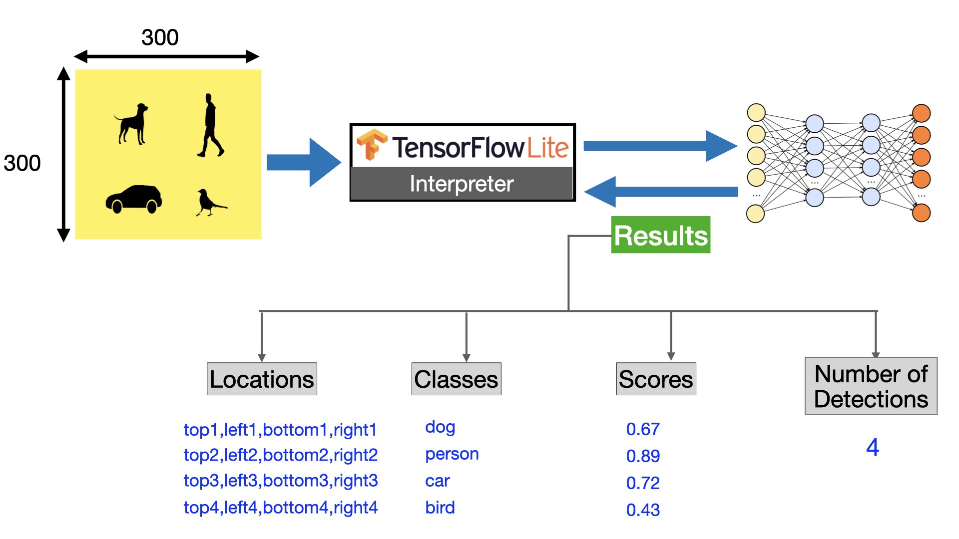 how object detection works using tensorflow lite on raspberry pi
