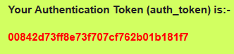 authentication token