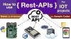 Rest-APIs with Raspberry Pi, ESP32
