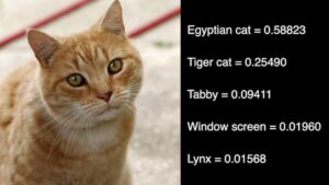 Image Classification Tensorflow Lite Raspberry Pi